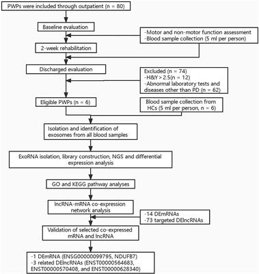 Association Between Mitochondrial Function and Rehabilitation of Parkinson's Disease: Revealed by Exosomal mRNA and lncRNA Expression Profiles